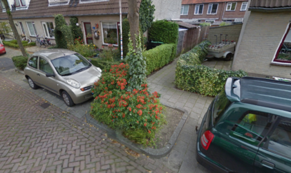 Voorbeeld boomspiegel Voorbeeld boomspiegel