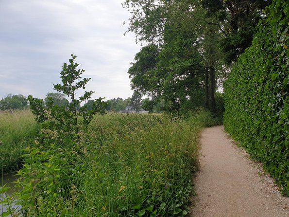 Voorbeeld van een berm die we langer laten groeien en er ruiger uit ziet