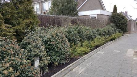 Voorbeeld groenstrook Voorbeeld groenstrook