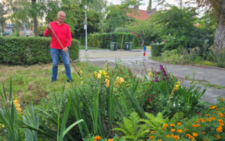 Plantdag Alle Straten Groen