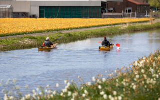 Lente Teylingen