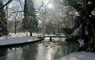 Park Rusthoff in de sneeuw