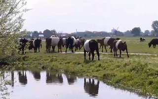 Pacht Teylingen