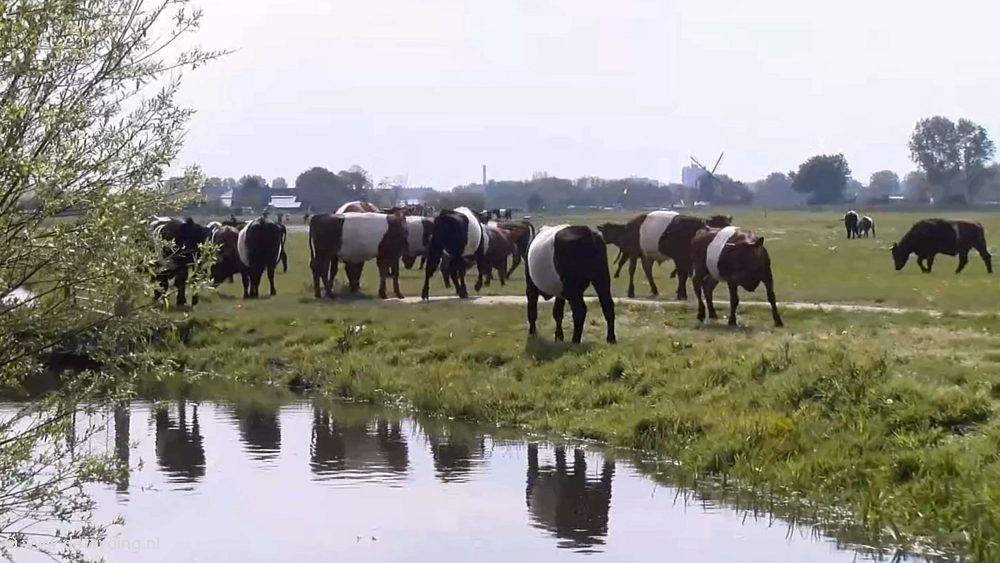 Pacht Teylingen