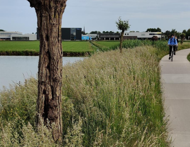 Oosthoutlaan Teylingen