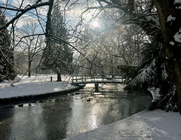 Park Rusthoff in de sneeuw