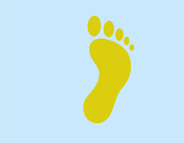Voetafdruk